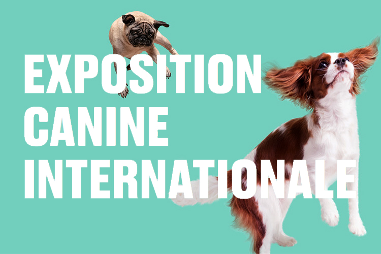 L'EXPOSITION CANINE INTERNATIONALE