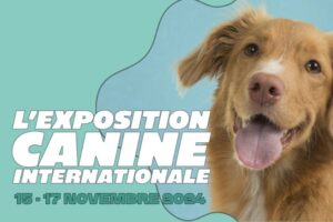 Expo-canine-24