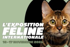 Expo-feline-24