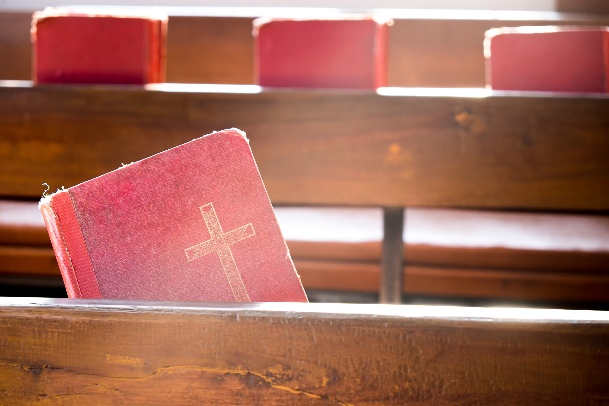 JOURNÉE INTER-ÉGLISES 2025